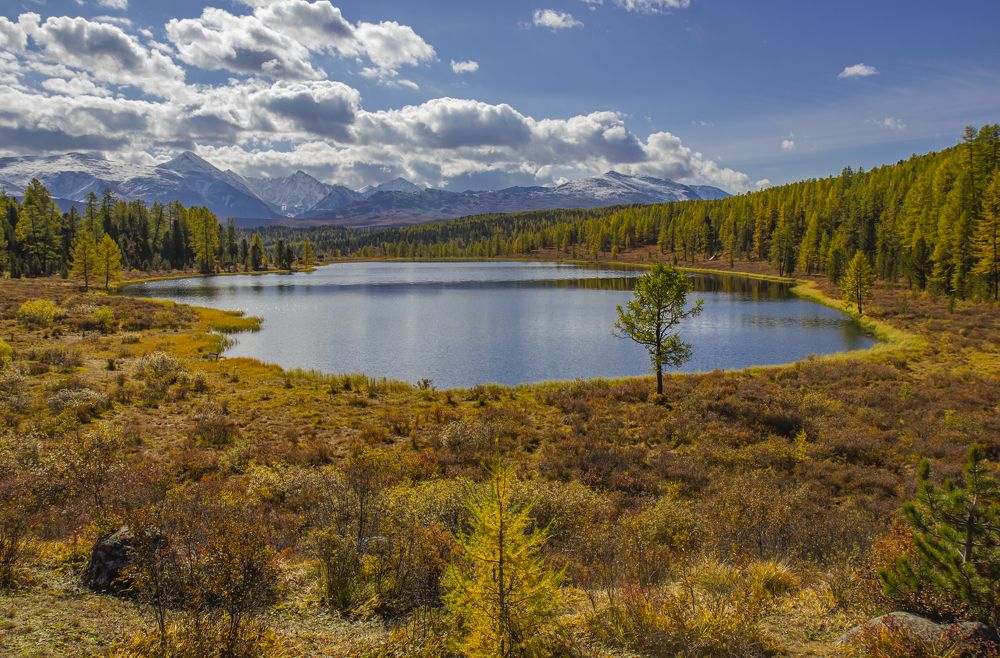 Photograph by Елена Павлова