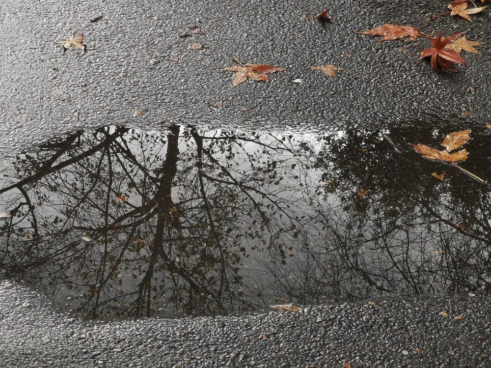 Photograph by Анастасия Бреева