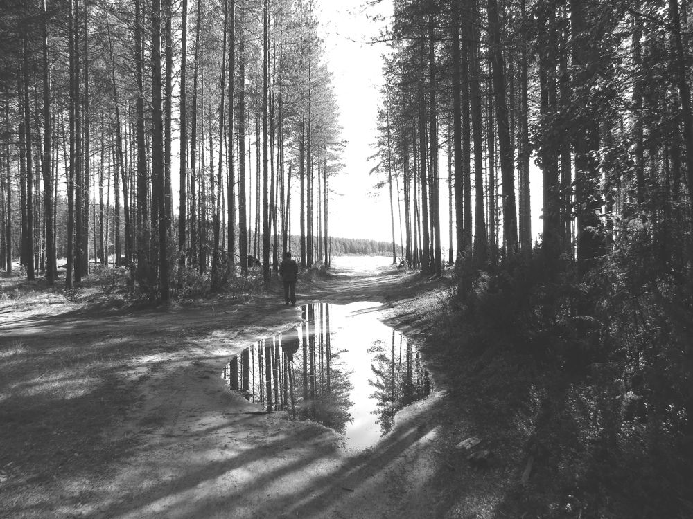 Photograph by Екатерина Филина