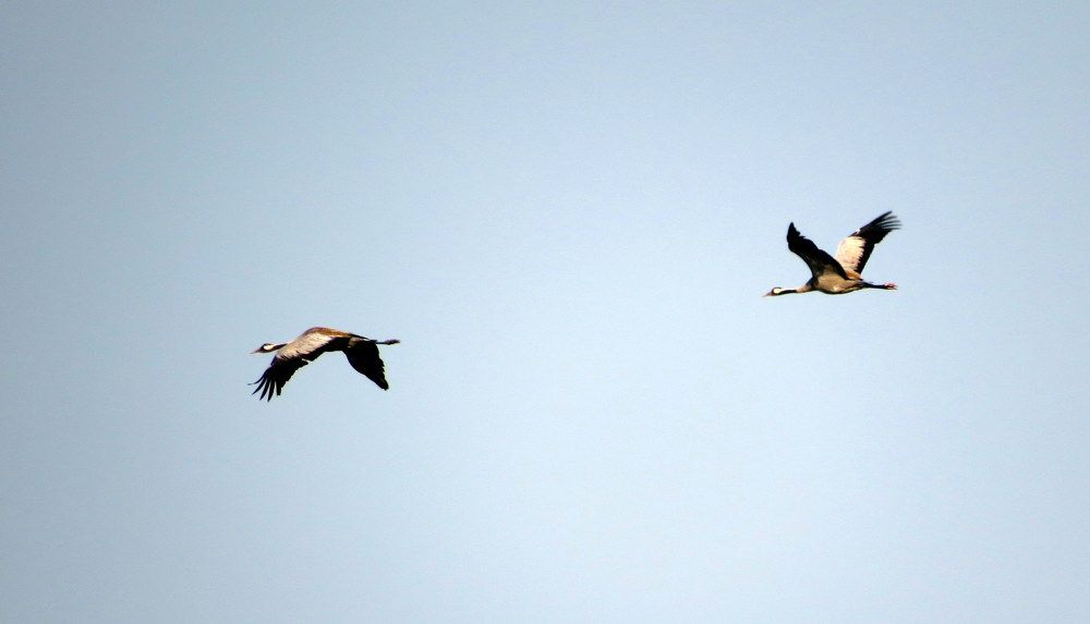 Photograph by Екатерина Филина