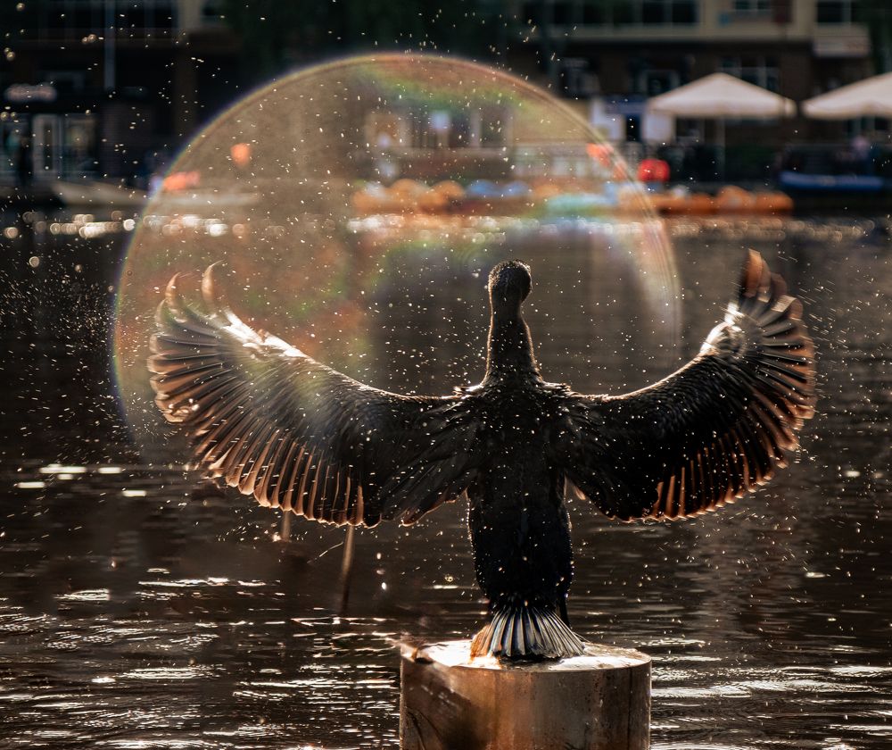 Photograph by Светлана Купреева