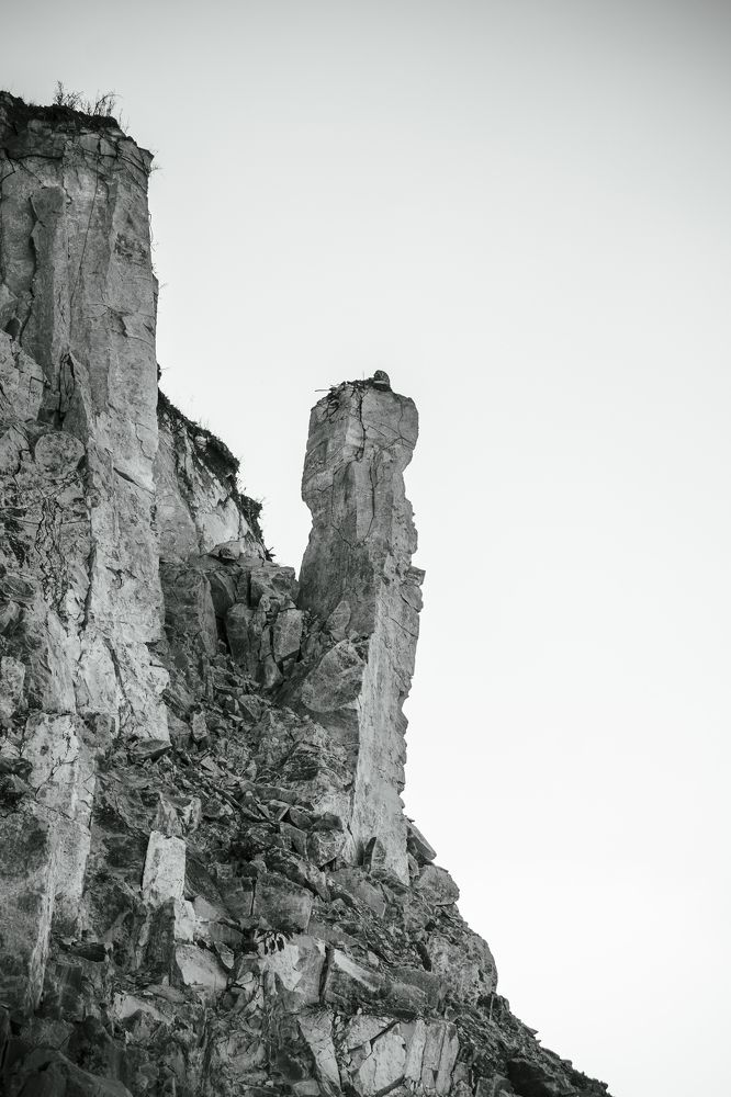 Photograph by Aura Rodríguez