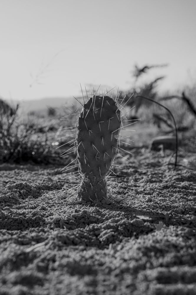 Photograph by Aura Rodríguez