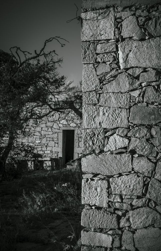 Photograph by Aura Rodríguez