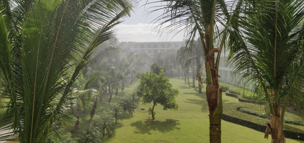 Photograph by Светлана Купреева