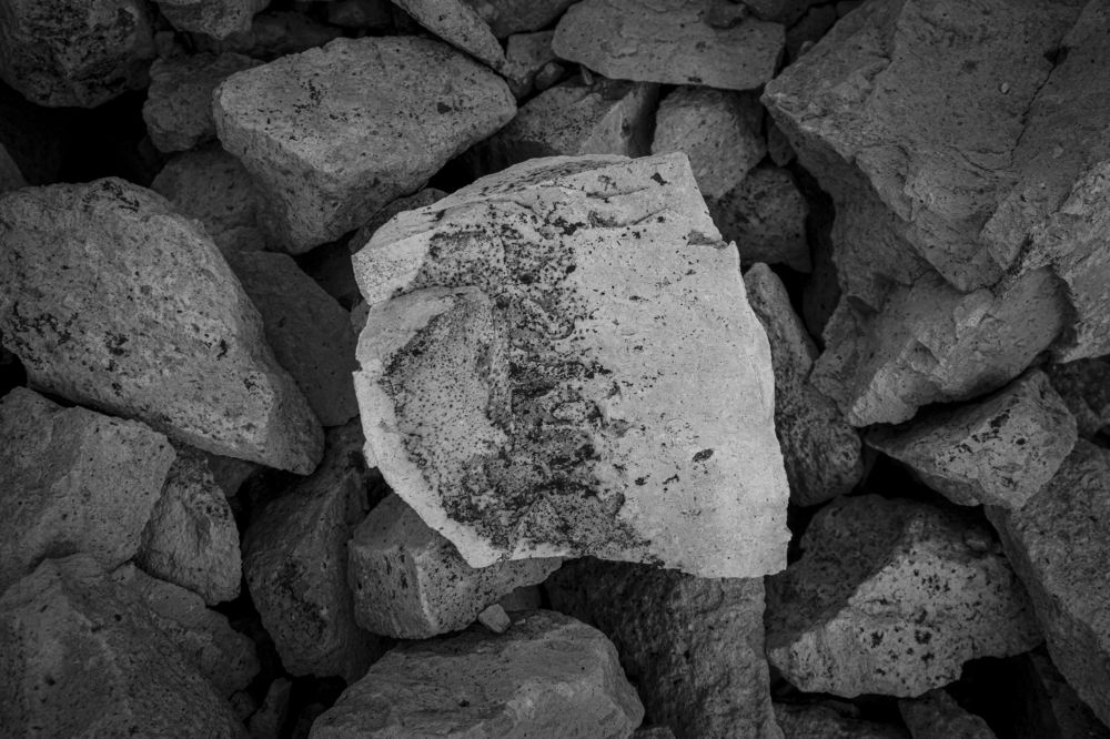 Photograph by Aura Rodríguez