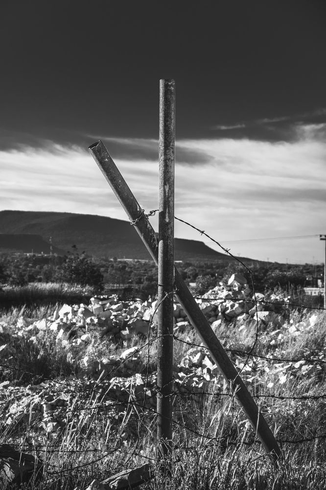 Photograph by Aura Rodríguez