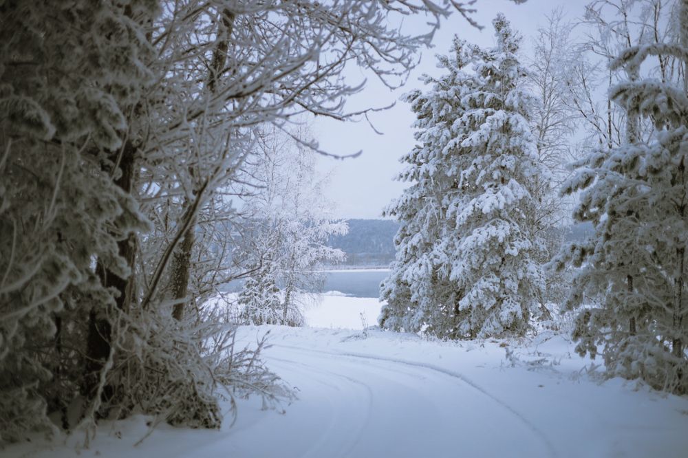 Photograph by Швай Наталья