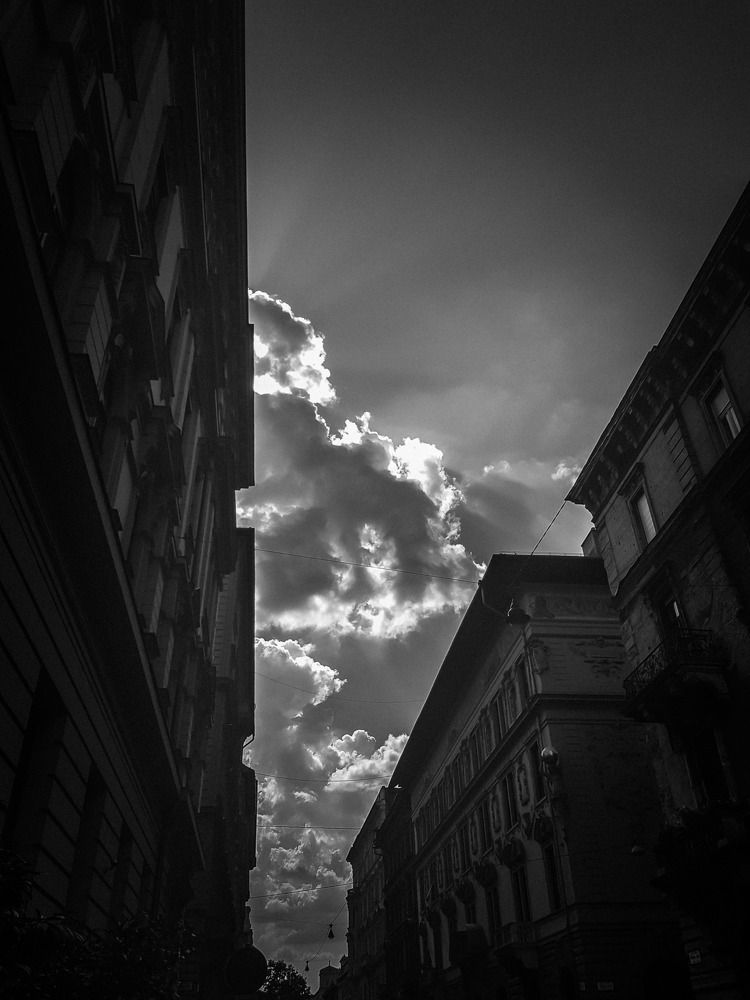 Photograph by Maja Micovic