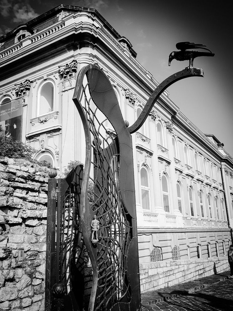 Photograph by Maja Micovic