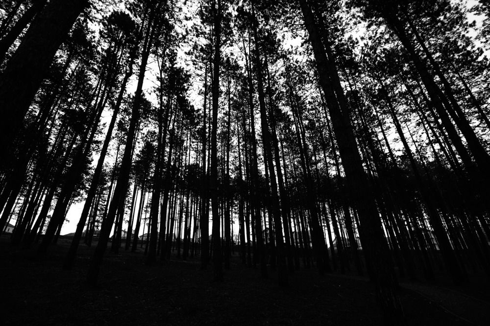 Photograph by Maja Micovic