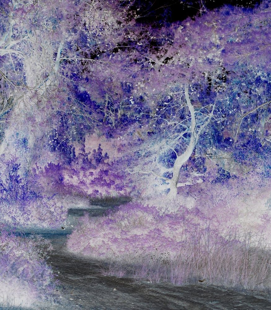 Photograph by Алеся Маклакова