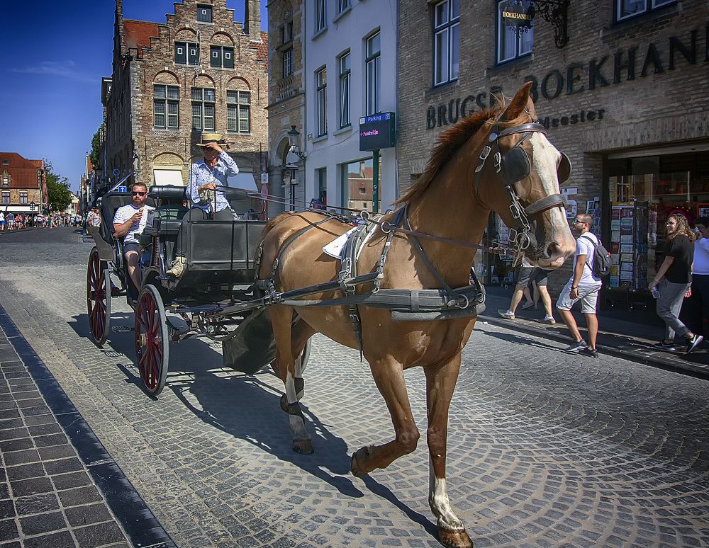 Фотография автора Александр