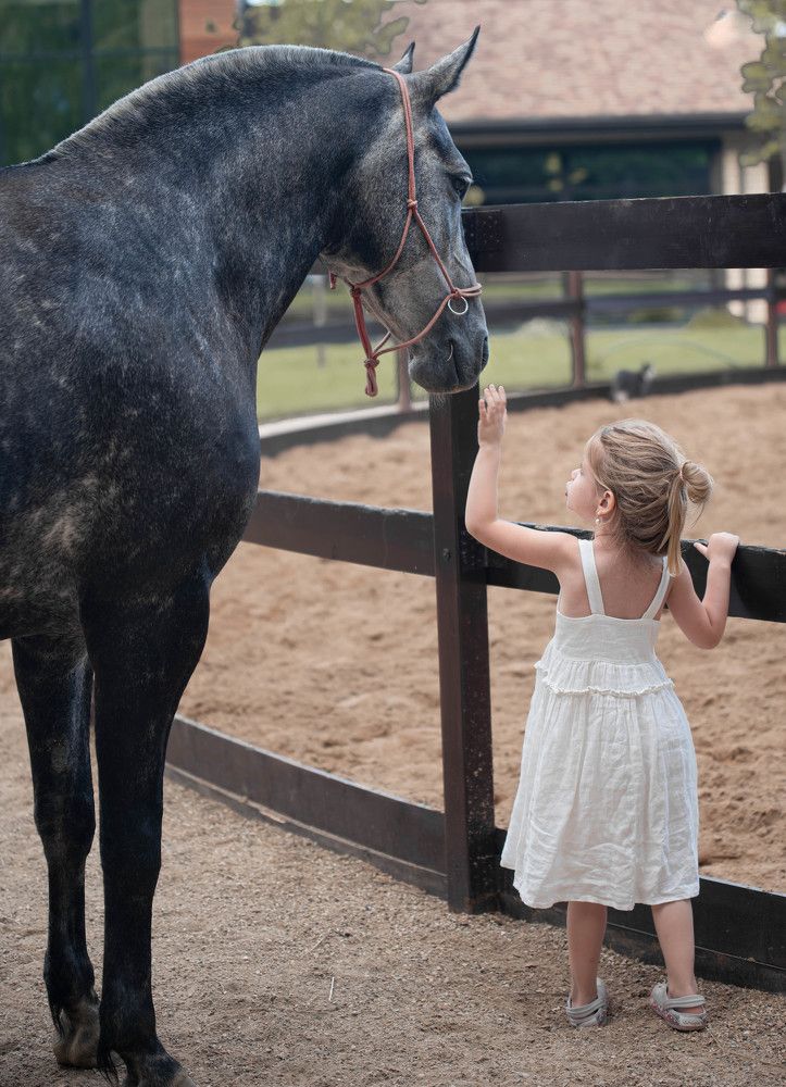 Photograph by Ирина Моисеенко