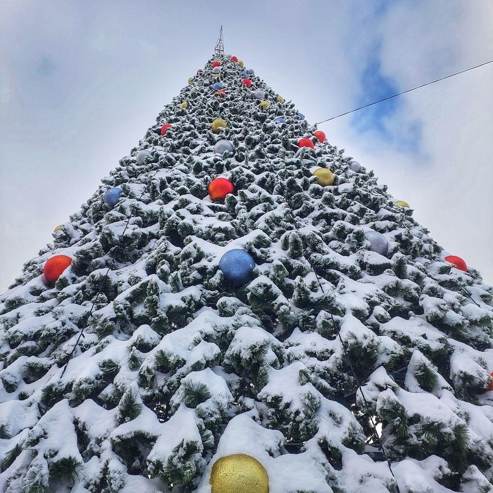 Photograph by Юлия Коробкова