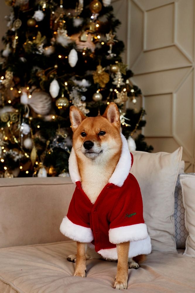 Рыжий Санта