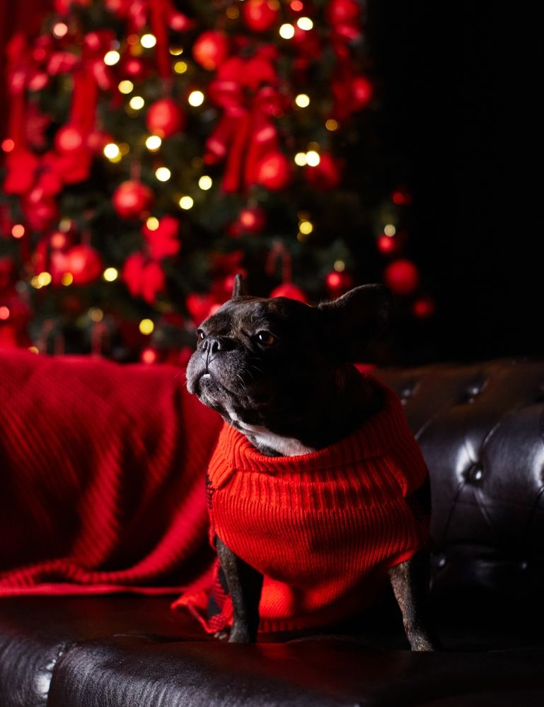 Photograph by Светлана Сафонова