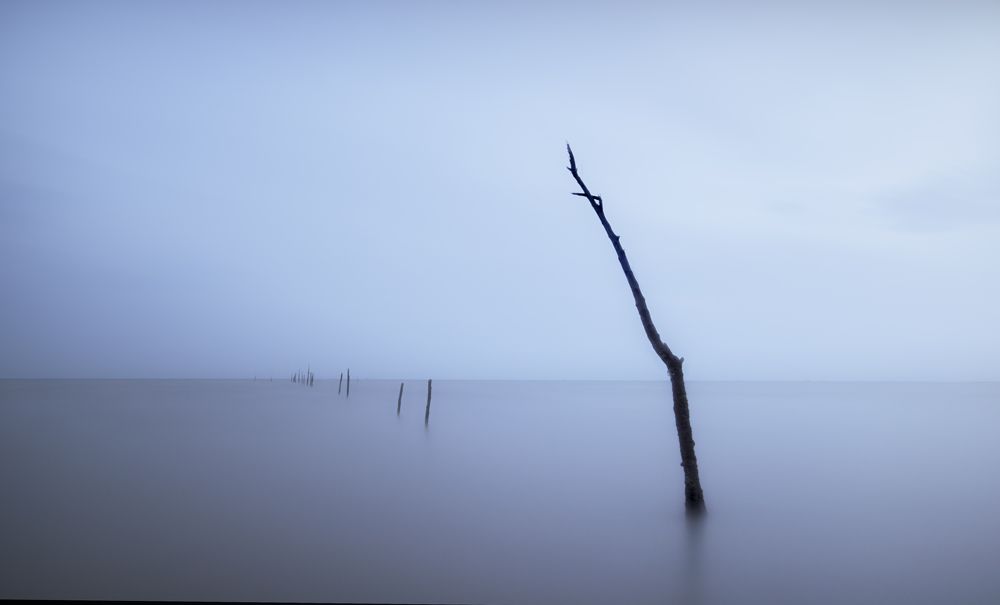 Photograph by Morteza Ghanbari