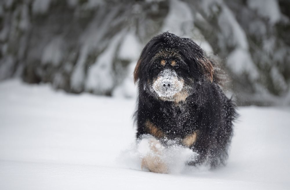 Photograph by Елена Якусева