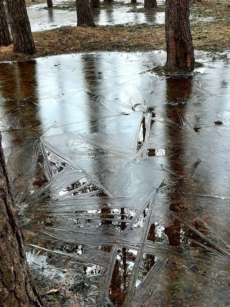 Фотография автора Наталья Шендяпина
