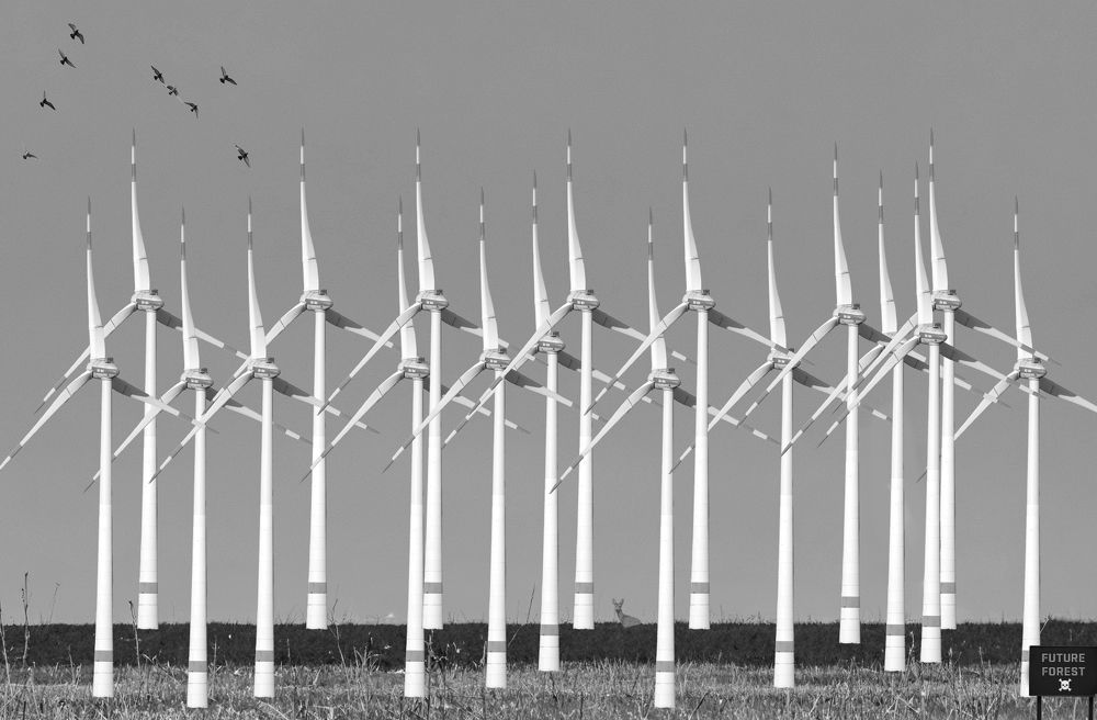 Photograph by Nicole Maria Oestreich