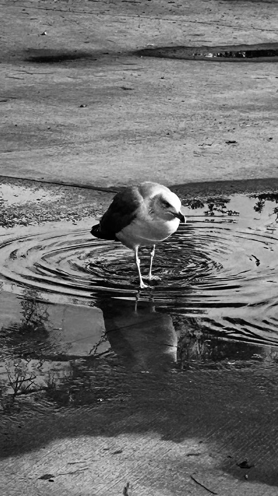 Photograph by Виктория Максименко