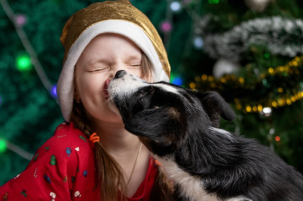 Photograph by Юлия Зубкова