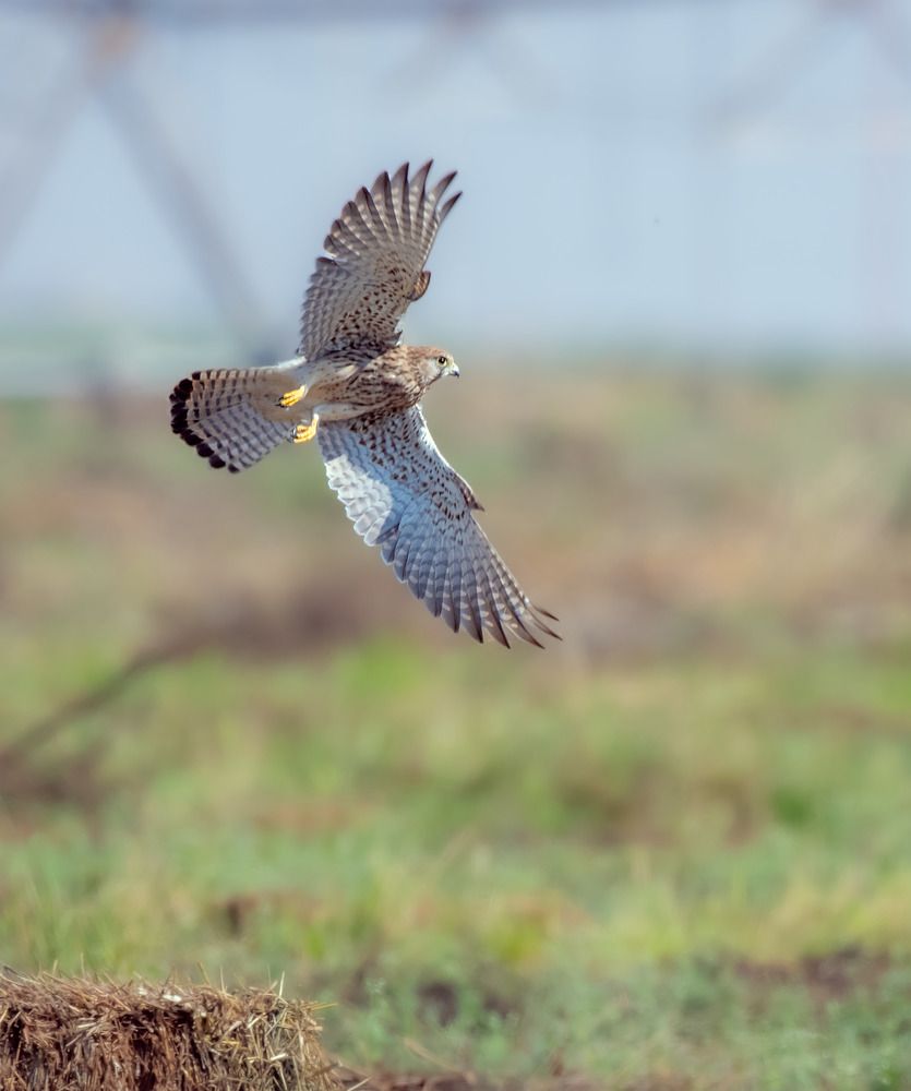 Фотография автора Sajeev Krishnan