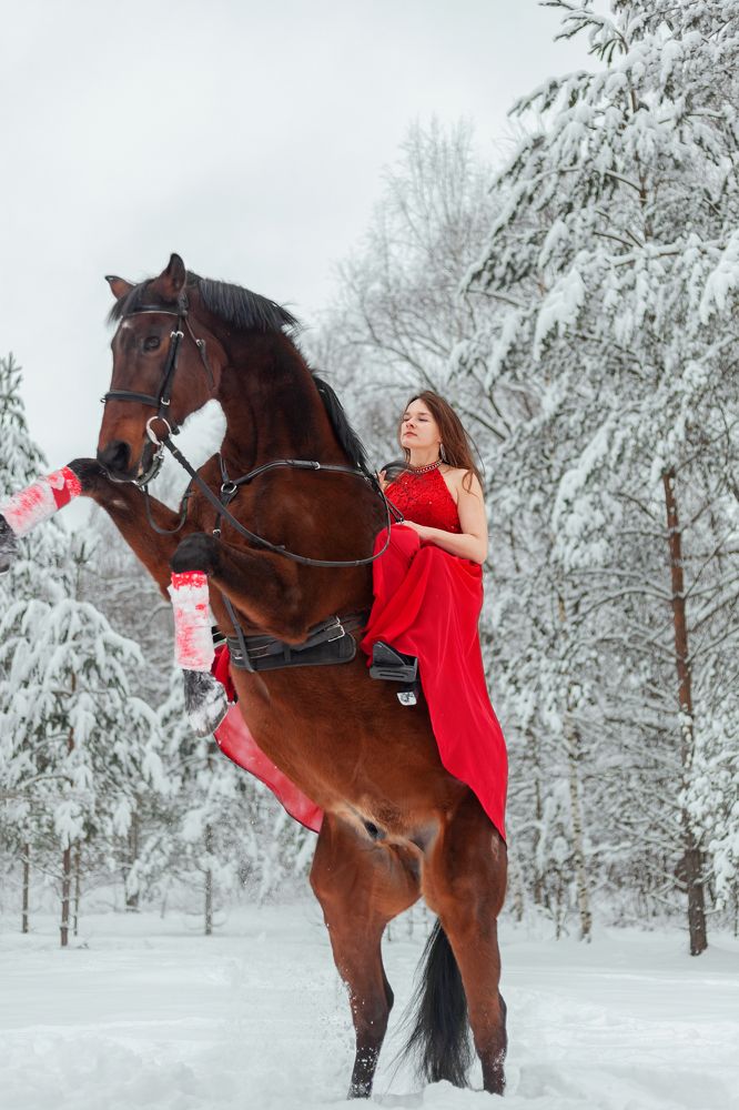 Фотография автора кузовлева мария анатольевна