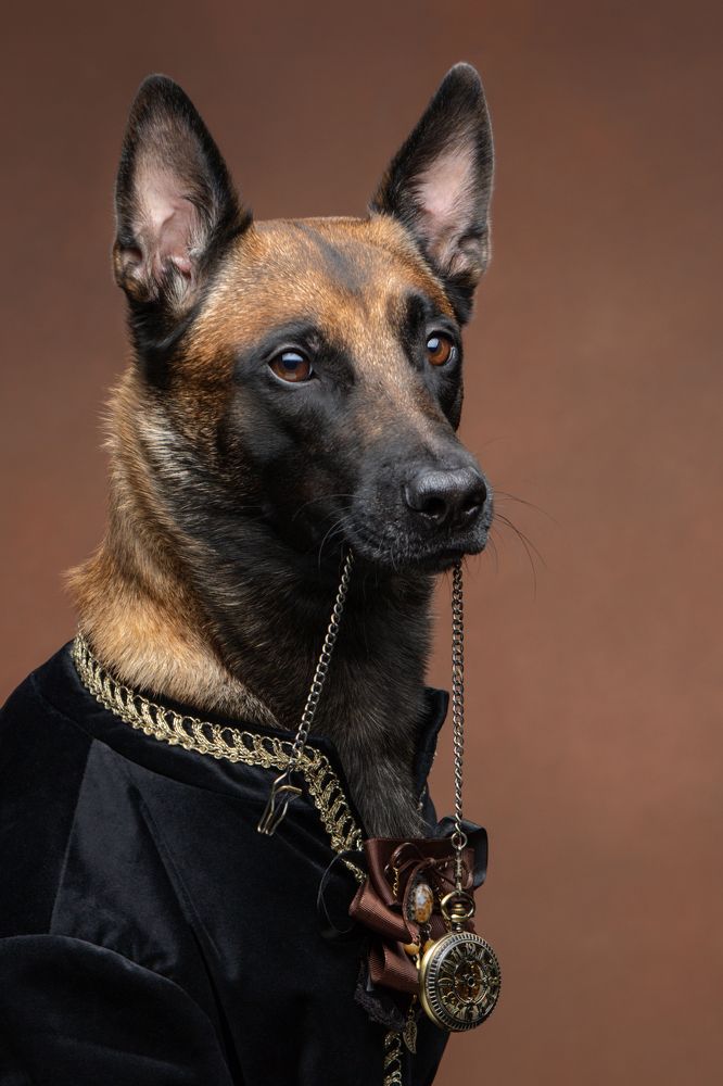 Фотография автора Юлия Зубкова