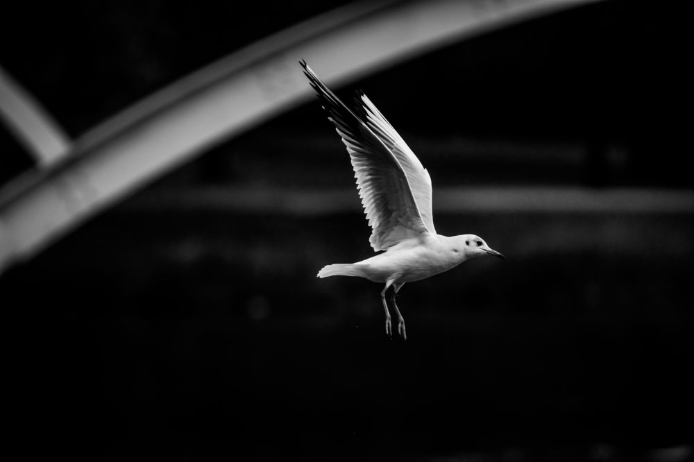 Фотография автора Марат Габидуллин