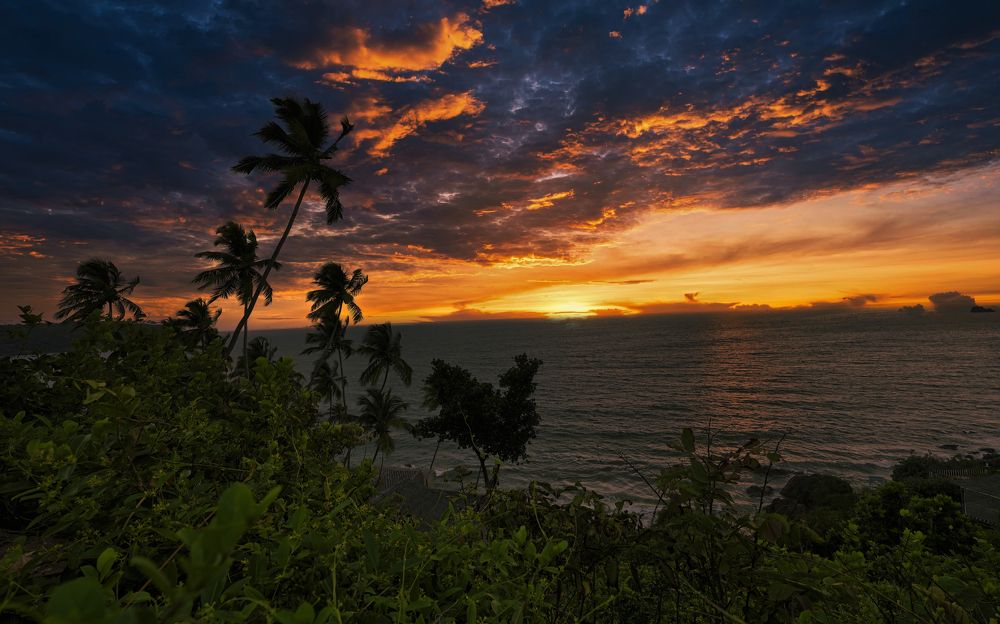 Photograph by Anupam More