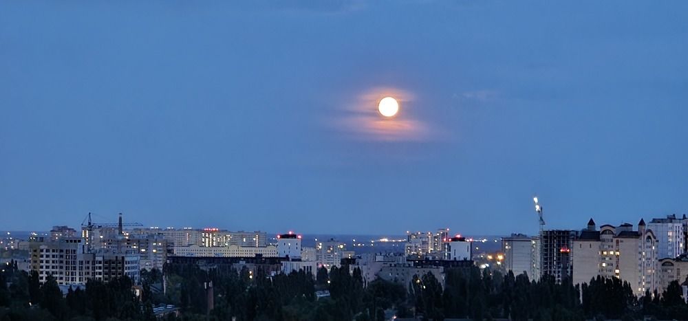 Фотография автора Evgeniia KHOKHLOVA