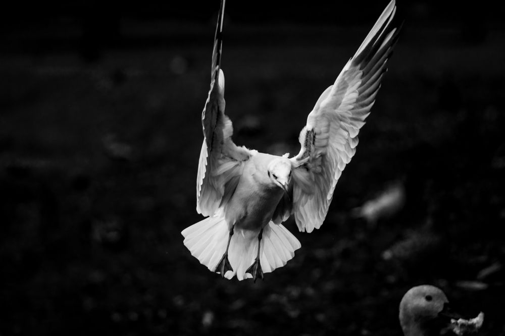 Фотография автора Марат Габидуллин