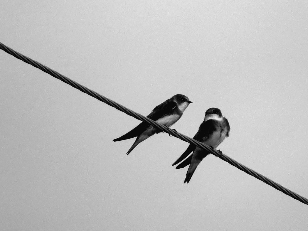 Photograph by Екатерина Филина