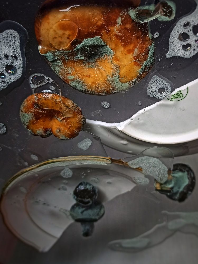 Photograph by Злата