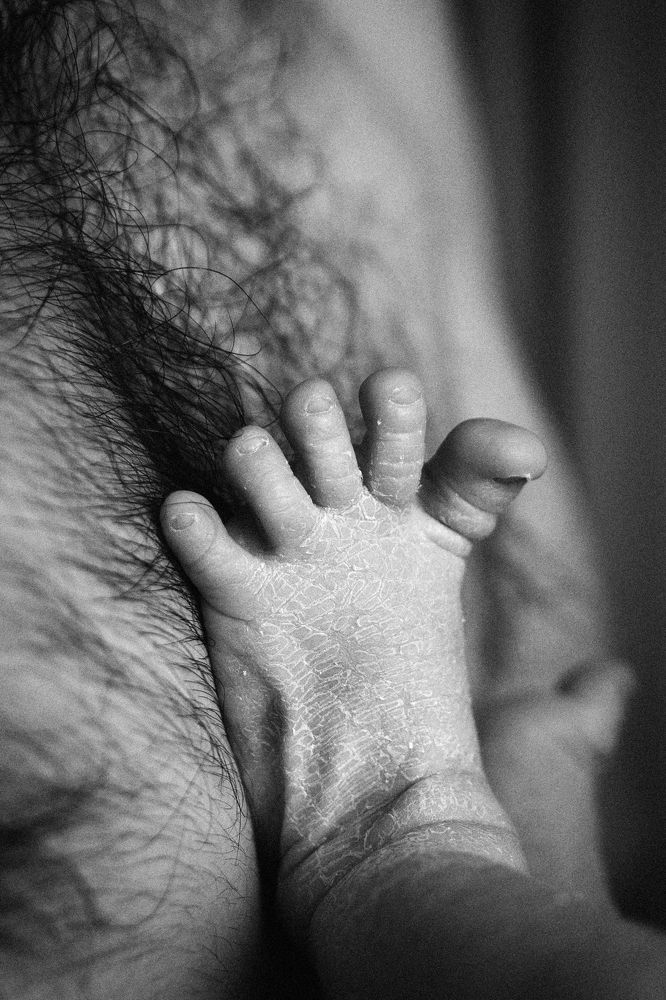 Photograph by Елена Зуйкова