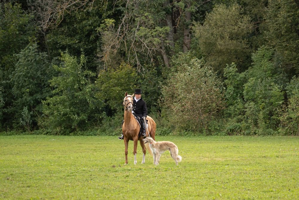 Photograph by наталья залогина