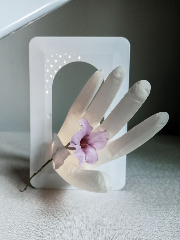 Photograph by Злата