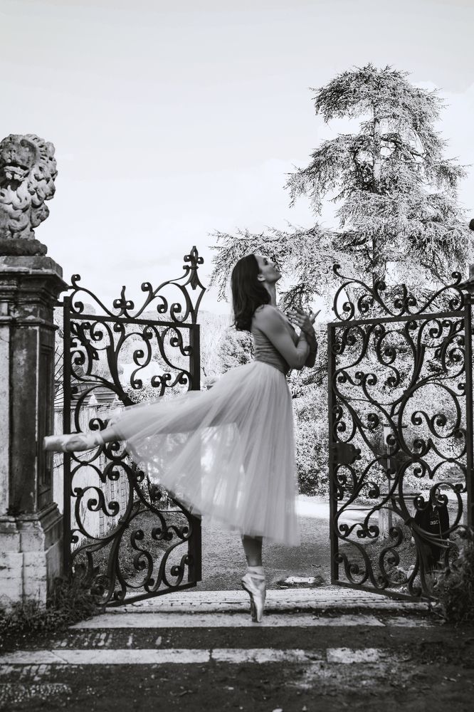 Photograph by Татьяна Петровская