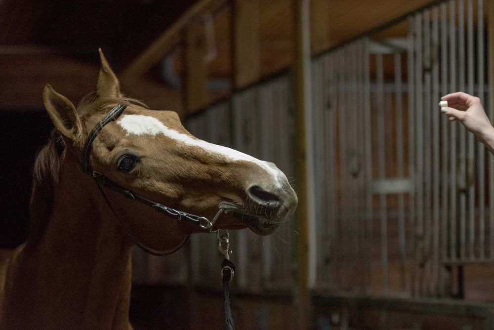 Photograph by Sergey Lexin