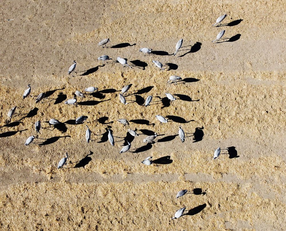 Photograph by seyedmohamad tabrizi