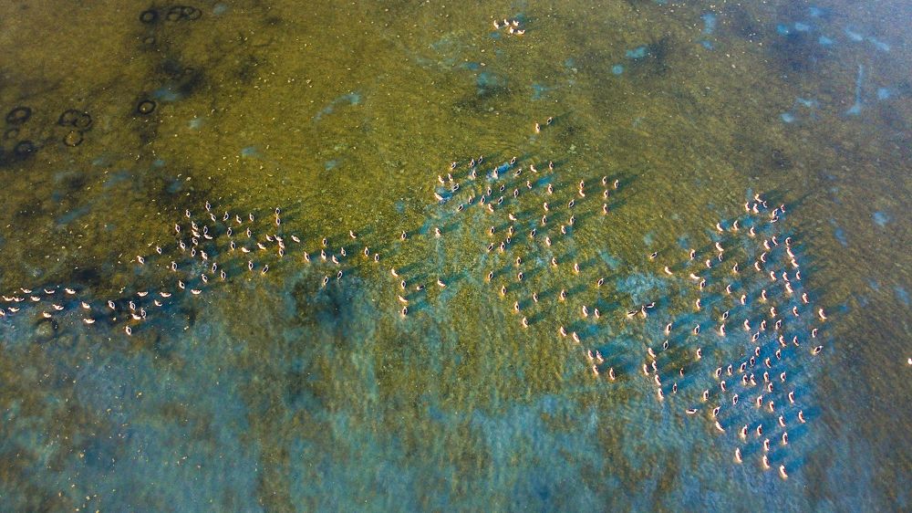 Photograph by seyedmohamad tabrizi