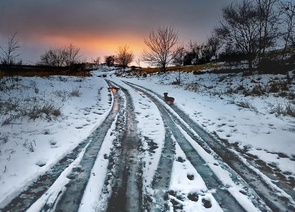 Photograph by Владимир Каюков
