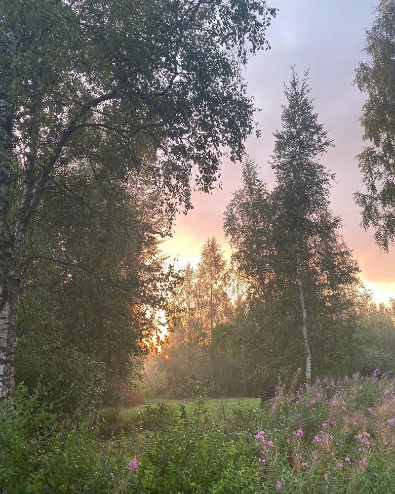 Photograph by Михаил