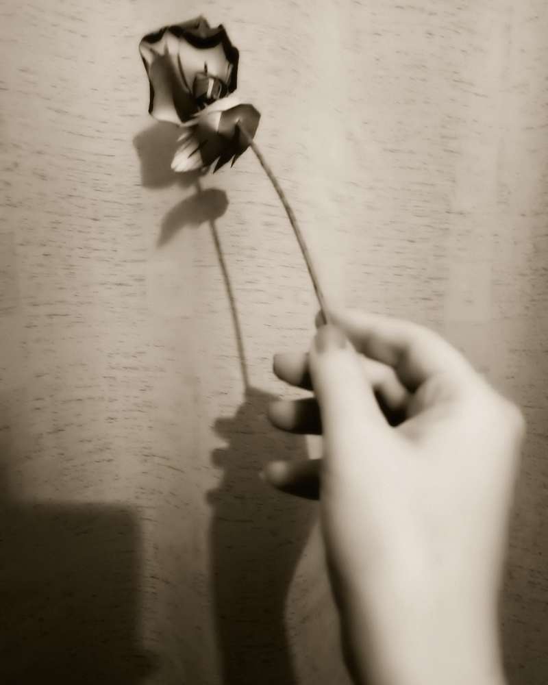 Photograph by Анна Лернер