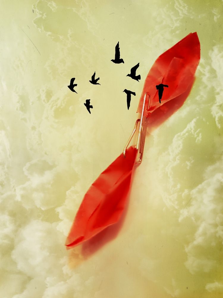 Photograph by Анна Лернер