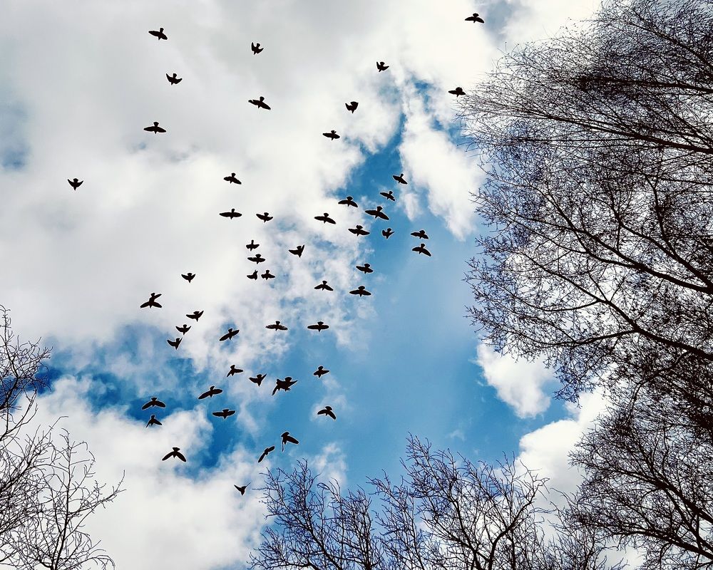 Photograph by Oxana Petlina