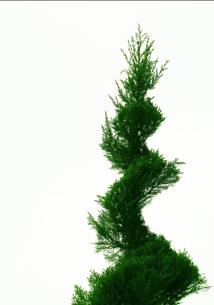 Фотография автора HR Abadeh