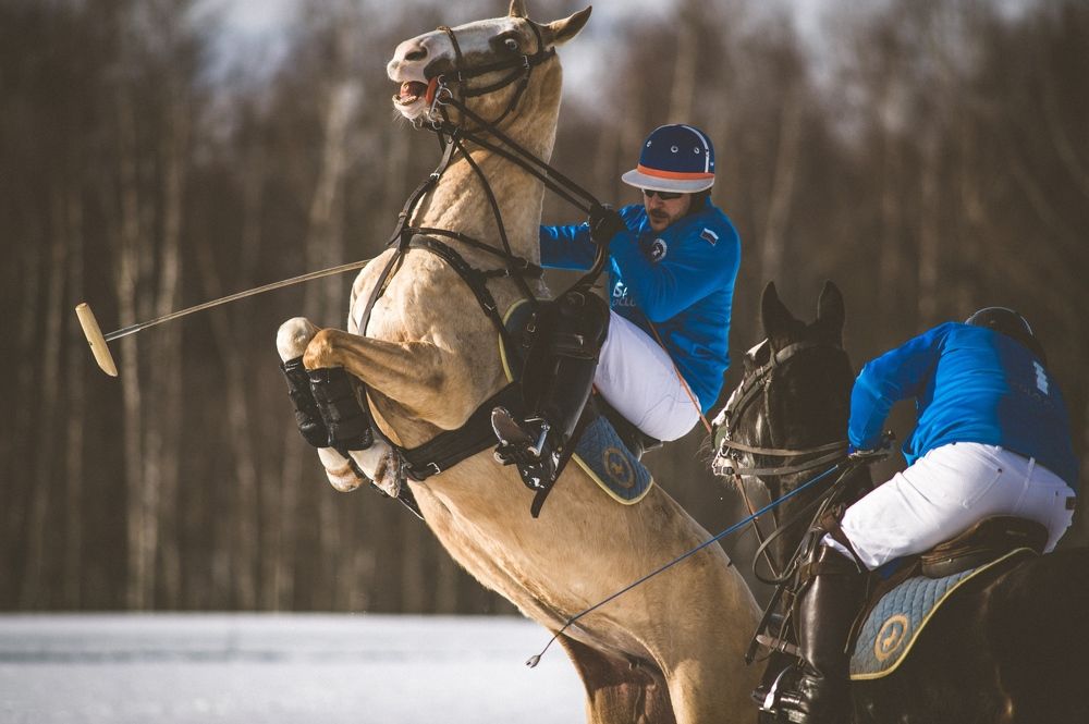 Photograph by Леонид